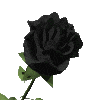 Gif animé gothique rose noire